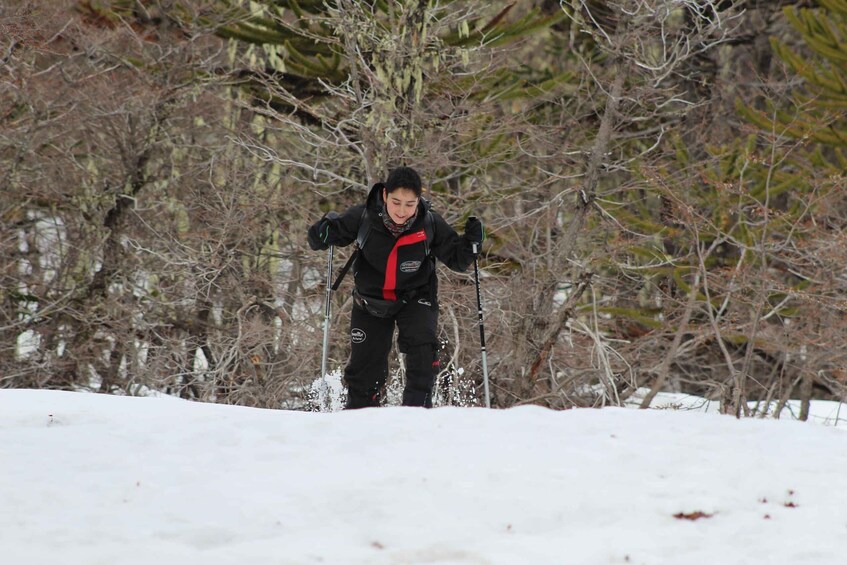 A person cross-country skiing in a snowy area with trees in the background. 4