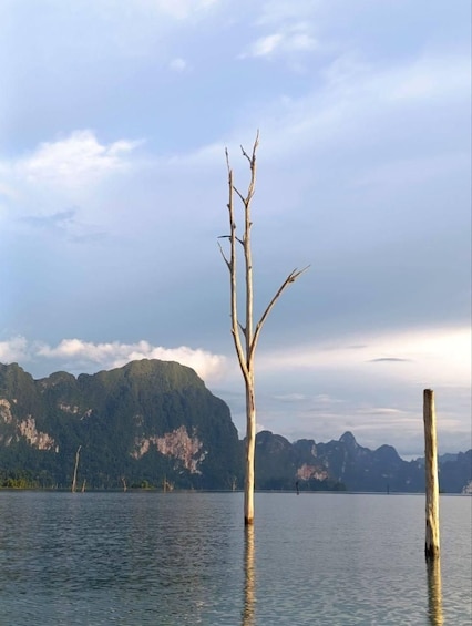 A calm lake with a dead tree in the center and mountains in the background. 2