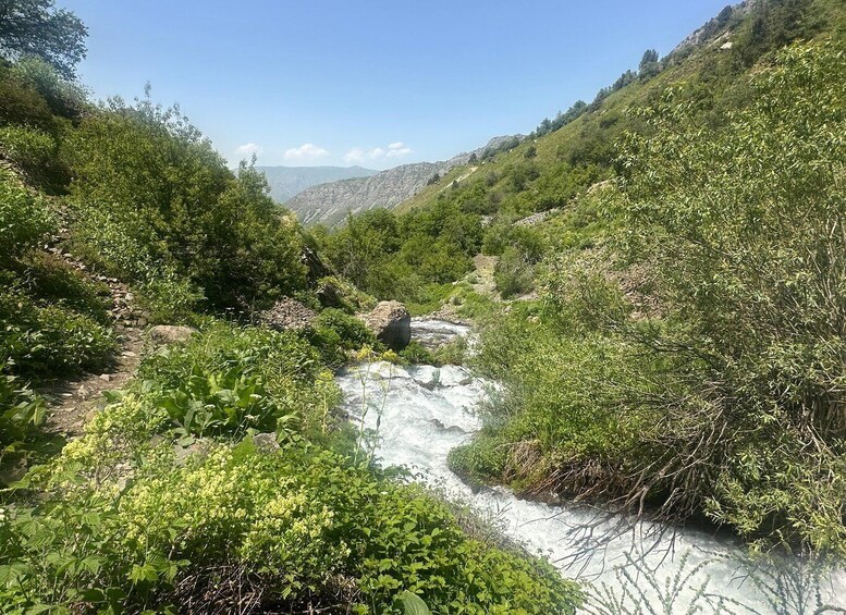 Une rivière qui traverse une vallée, traversée d’une végétation luxuriante et d’un terrain rocheux. 3