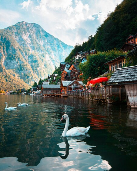A lake with swans, wooden houses, and a mountain in the background. 4