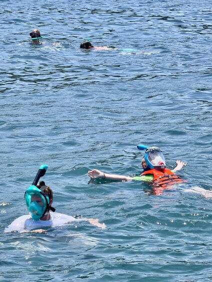 People swimming in a body of water. 5