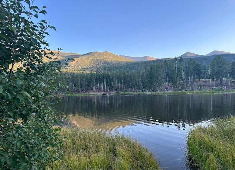 A calm lake surrounded by mountains and dense forest. 3