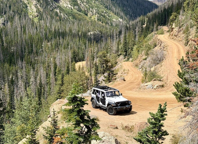 A white off-road vehicle on a dirt road surrounded by dense forest. 2