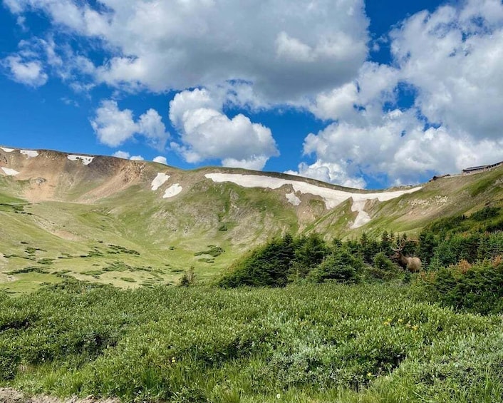 A mountainous landscape with green grass, trees, and a clear blue sky with clouds. 1