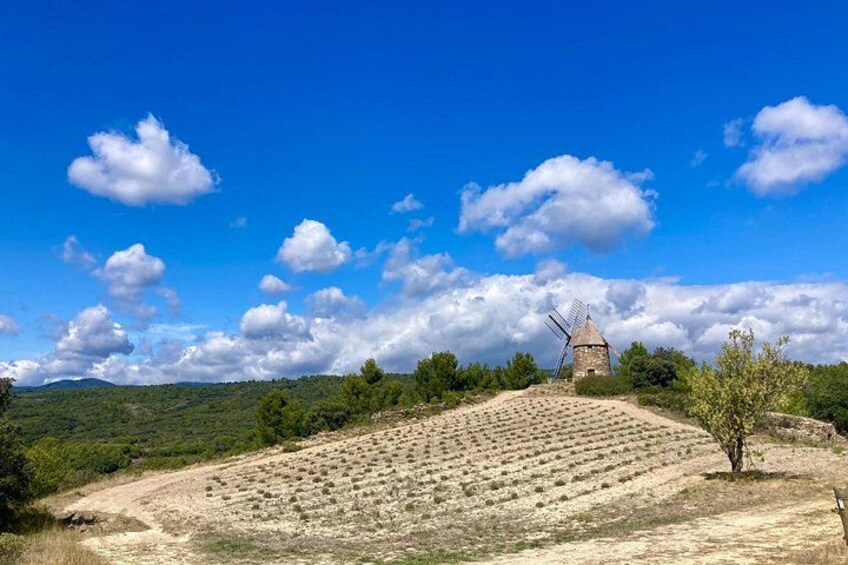 A windmill on a hill with a clear sky and a dirt path leading up to it. 3