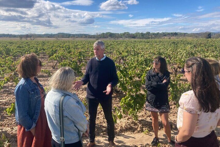 A group of people standing in a vineyard. 5