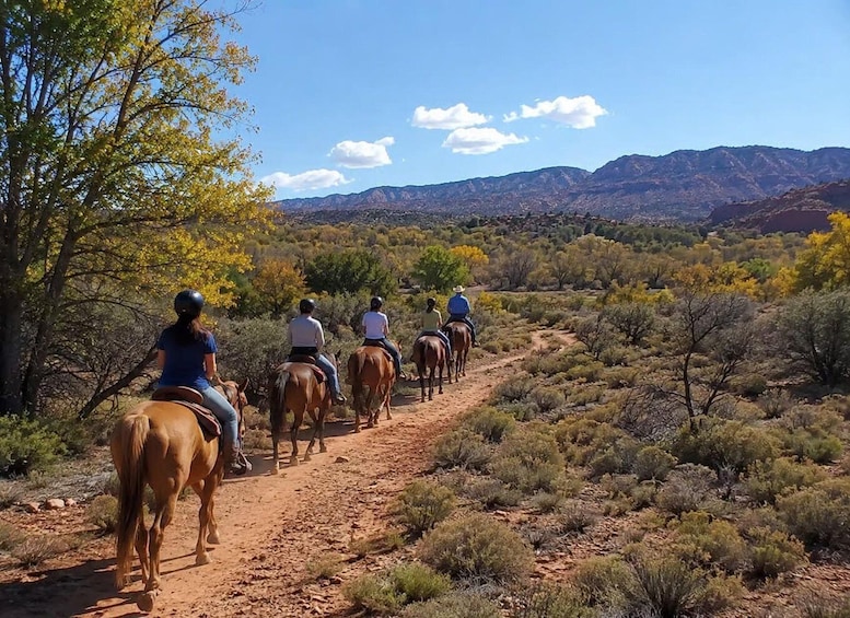 A group of people horseback riding along a dirt trail in a desert landscape with sparse vegetation and mountains in the background. 4