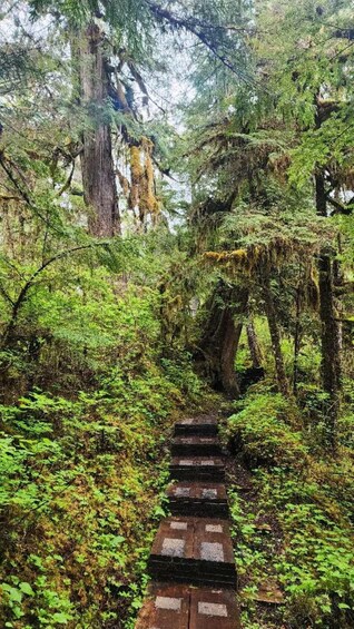 A forested area with a stone staircase leading up a hill. 3