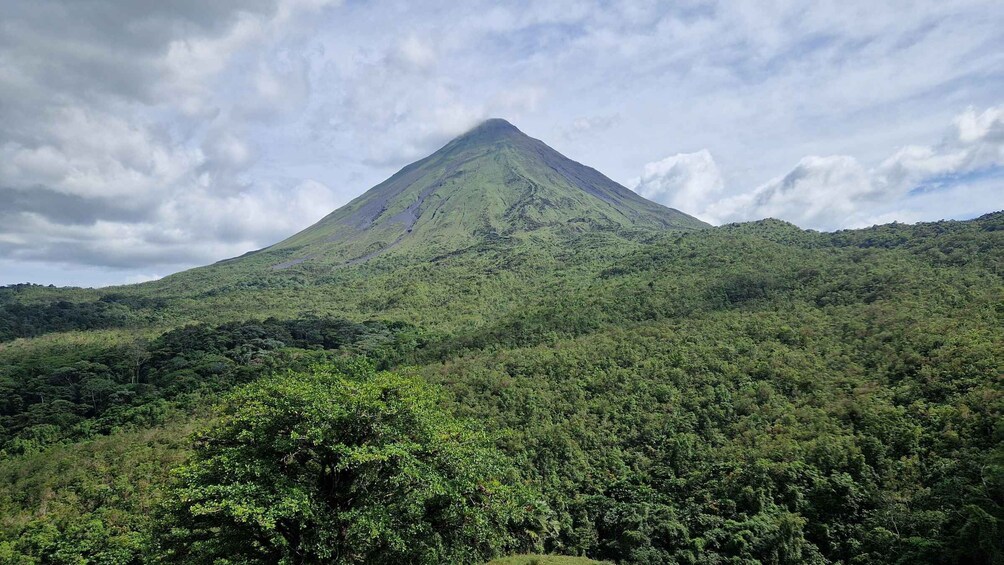 A lush green mountain with a dense forest at its base. 1