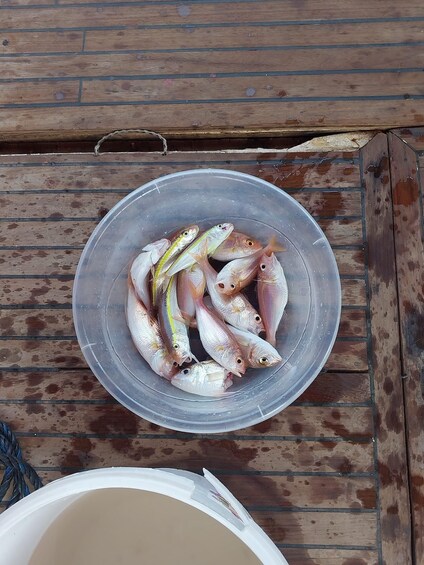 Picture 4 for Activity Kemer: Fishing Experience with Equipment & Hotel Transfer 3