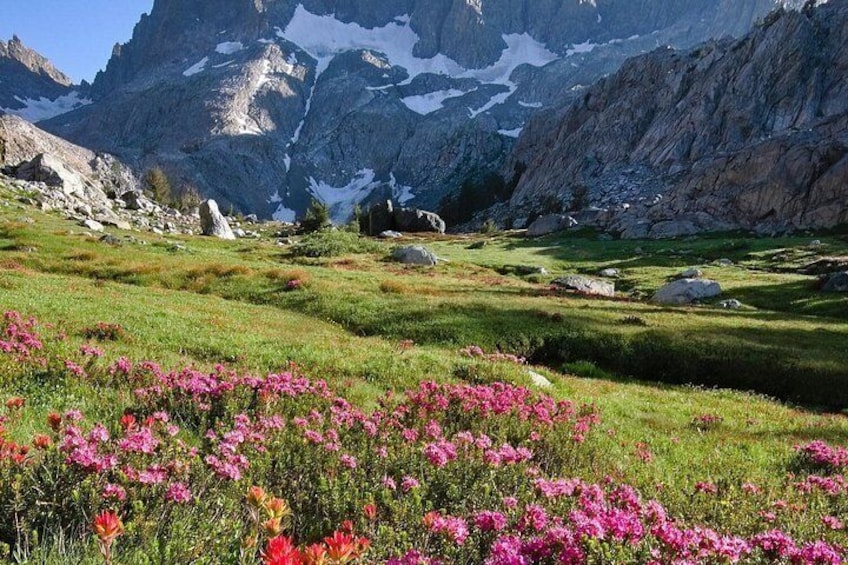 Private 2 Day Yosemite and Lake Tahoe Adventure 5