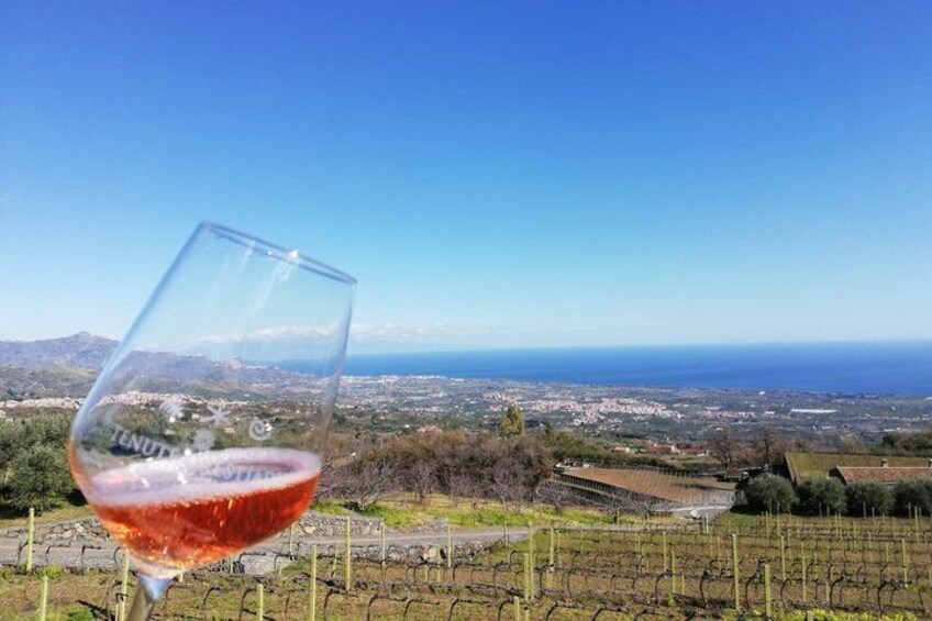 A vineyard with a glass of red wine and a view of the coastline. 5