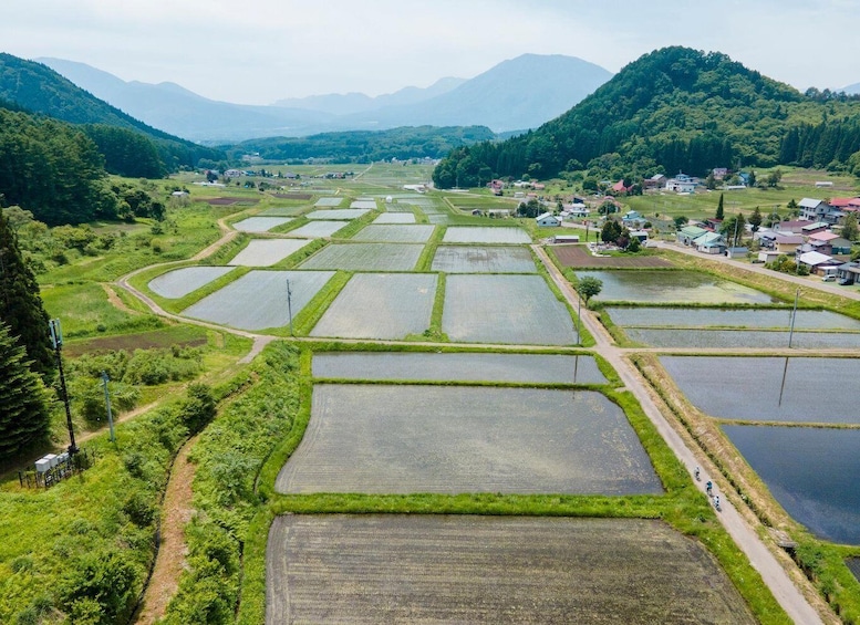A landscape with terraced rice fields, a small village, and mountains in the background. 1