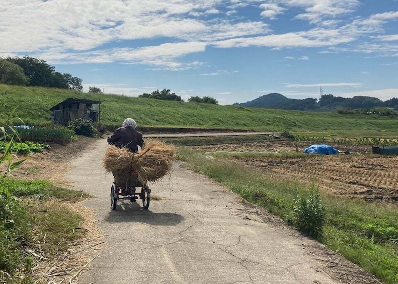 Picture 2 for Activity From Tokyo: Self-Guided Countryside Bike Tour in Nagano 5