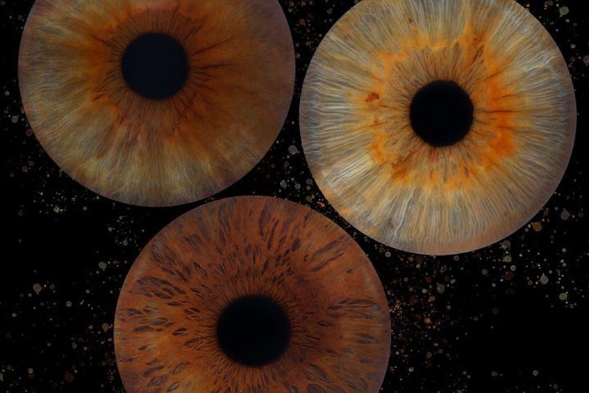 Three large, circular objects with a central dark area and a textured surface. 3