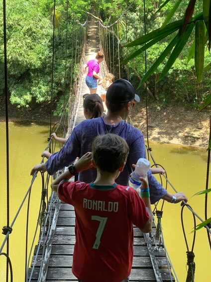 A wooden suspension bridge over a river surrounded by dense greenery. 3