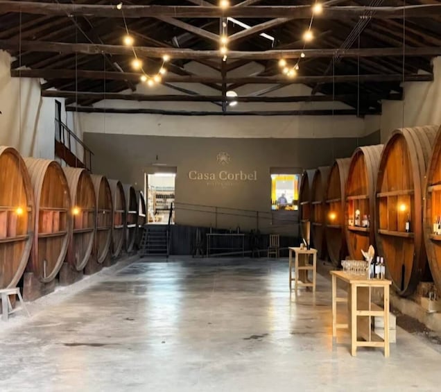 A wine cellar with wooden barrels, a staircase, and a sign reading 'Casa Corbel.' 3