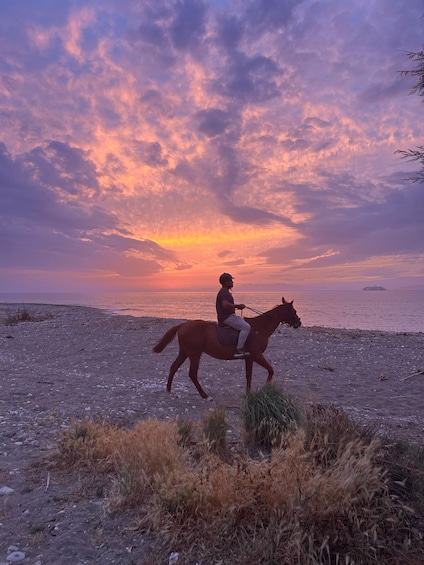 A person riding a horse along a rocky beach at sunset. 1