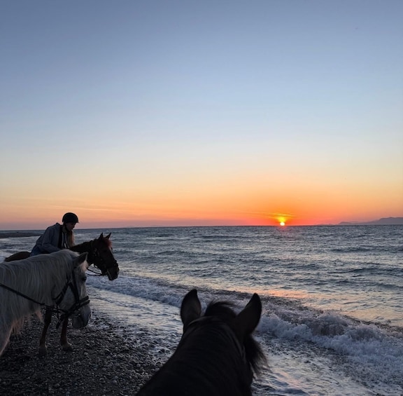 A sunset over the ocean with two horses and a person on a beach. 4