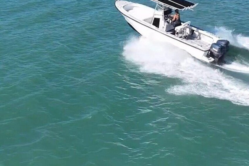 Dolphin Watching, Shelling and Sightseeing Cruise in Naples, FL 4