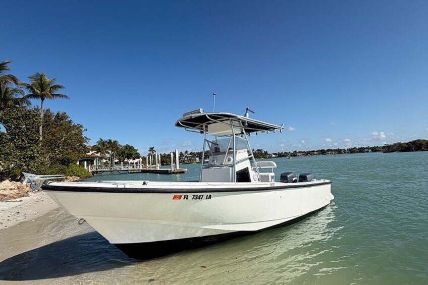 Dolphin Watching, Shelling and Sightseeing Cruise in Naples, FL 3