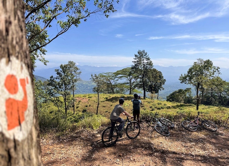 Two people on bicycles, a tree with a red marking, and a mountainous landscape in the background. 3