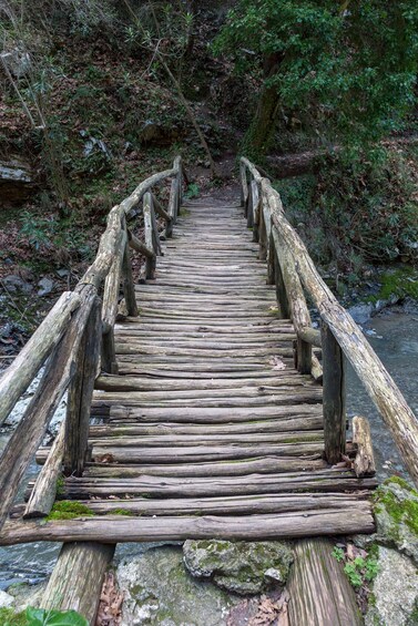 A wooden bridge with railings over a river, surrounded by dense forest. 2