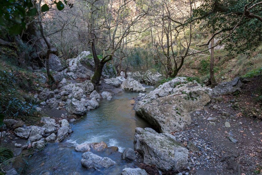 A rocky stream surrounded by trees and foliage. 3
