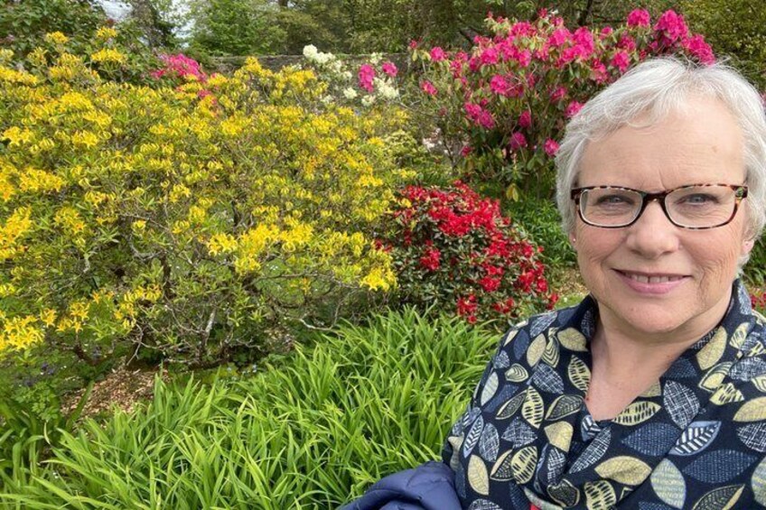 A person sitting in a garden with various flowering shrubs and green grass. 5