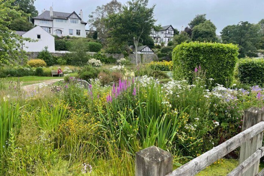 A garden with various plants and a wooden fence. 3
