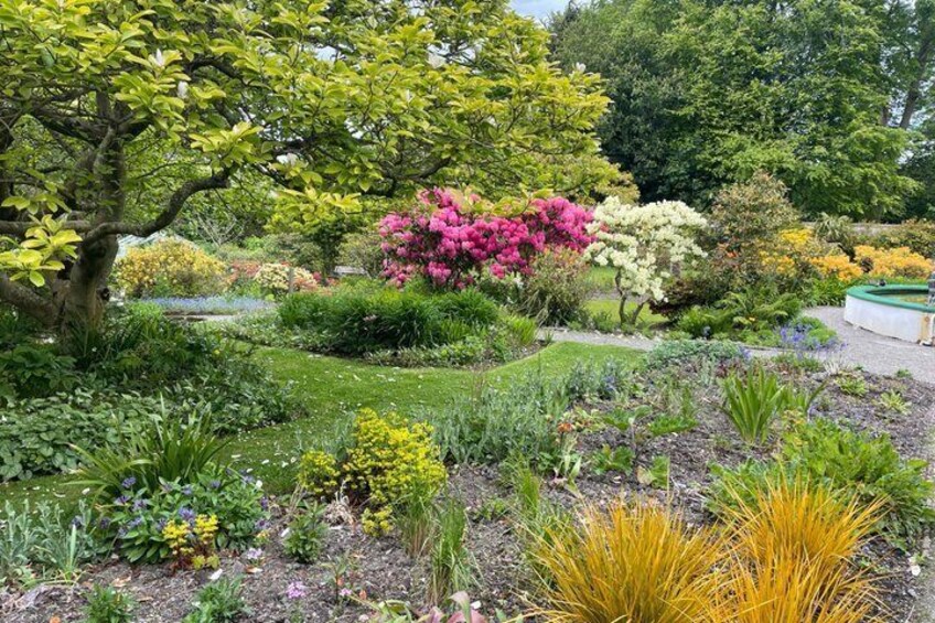 A garden with various flowering plants and a large tree. 2