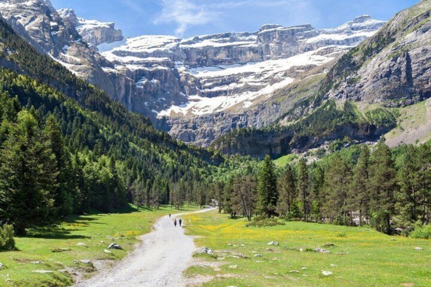 A mountain valley with a dirt path, dense forests, and snow-capped peaks. 2
