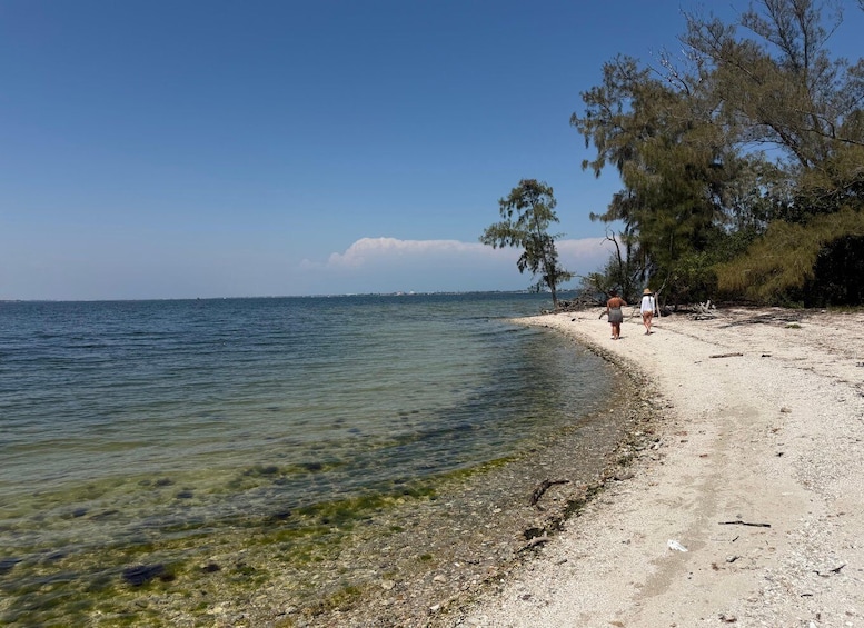 A beach with clear water, a sandy shore, and two people walking along the edge. 1