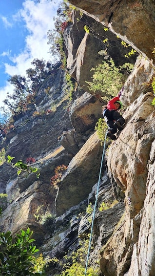 A person rock climbing a steep, rocky cliff with vegetation around. 2