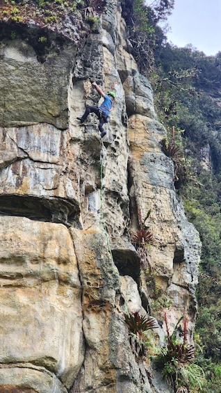 A person rock climbing a rugged cliff with vegetation growing on it. 4