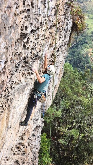 A person rock climbing a rugged cliff with visible holes and vegetation around. 1