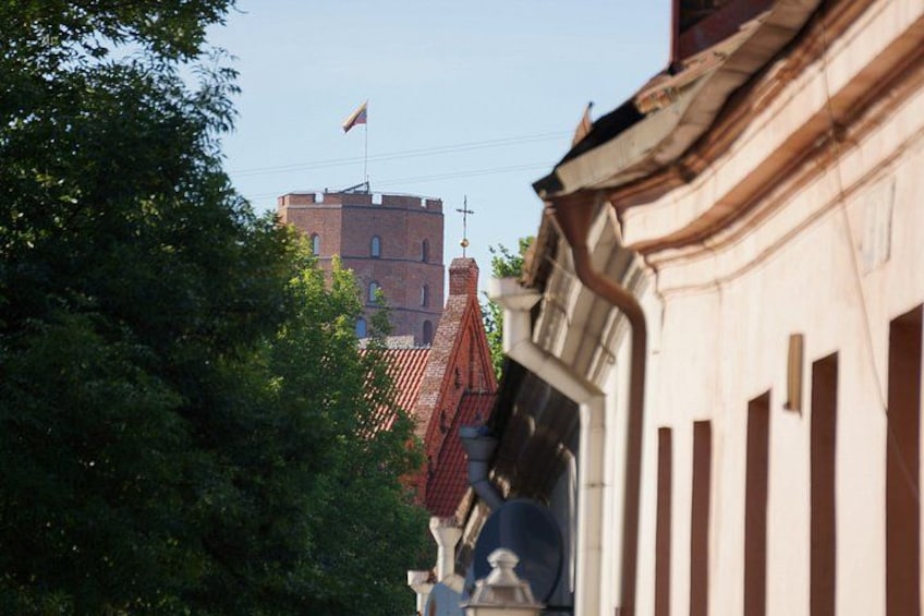 A building with a red roof, a flag on top, and a tree in the foreground. 5