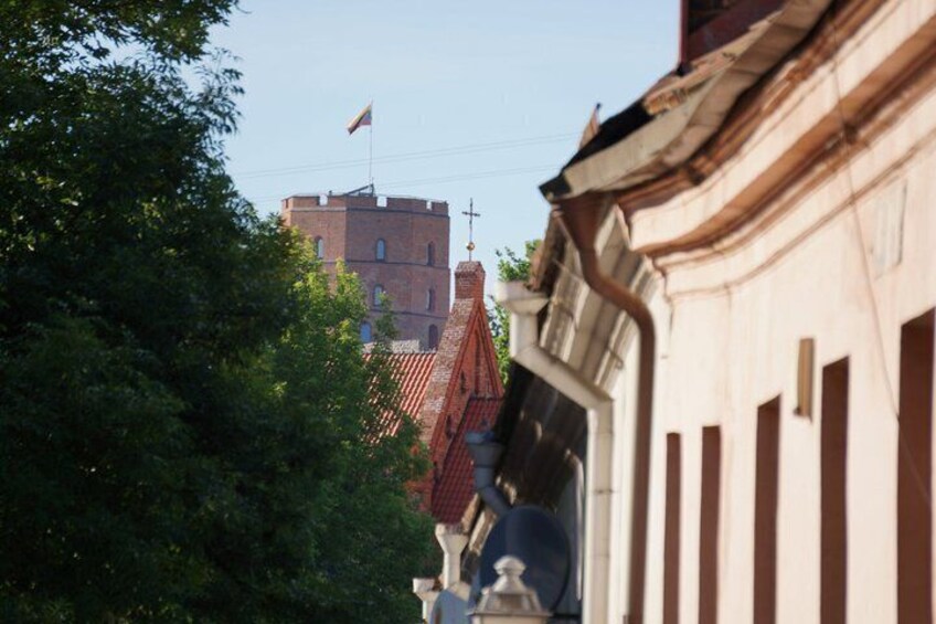 A building with a red roof, a flag on top, and a tree in the foreground. 3