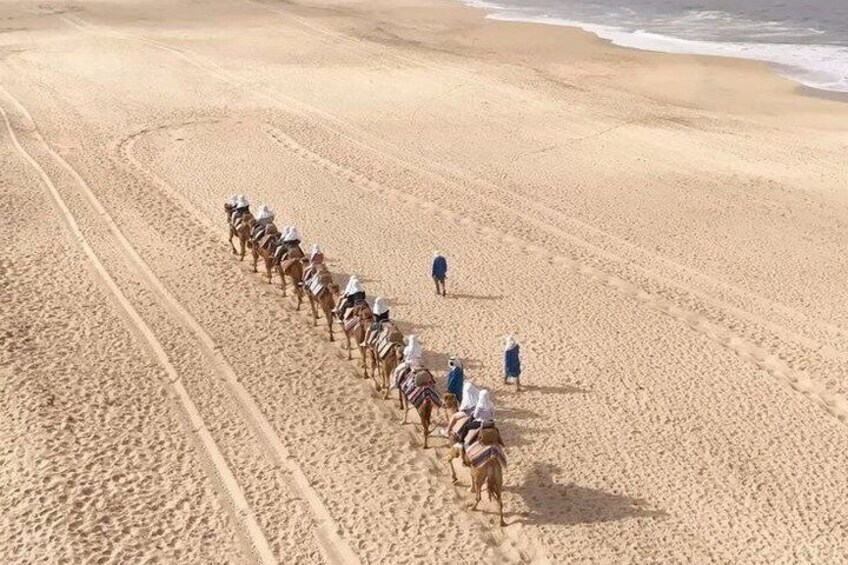 A line of horses and riders on a sandy beach. 3