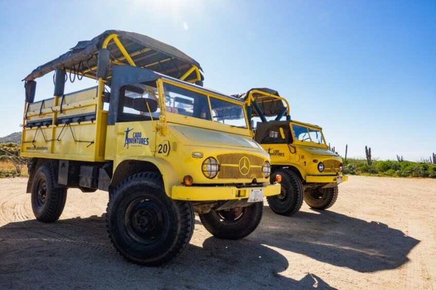 Two yellow off-road vehicles with 'CARRO VENTURES' and '20' on them, parked on a dirt surface. 5