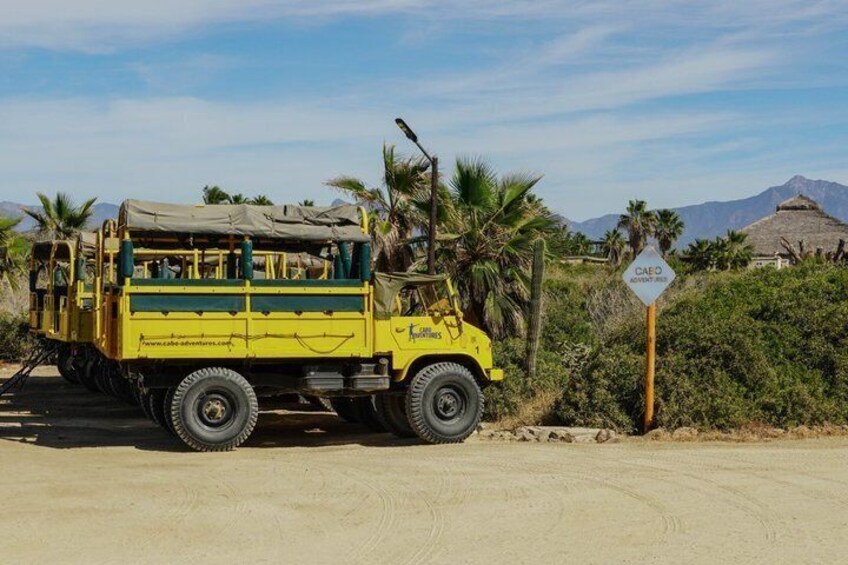 A yellow off-road vehicle parked on a dirt road with palm trees and a mountain in the background. 5