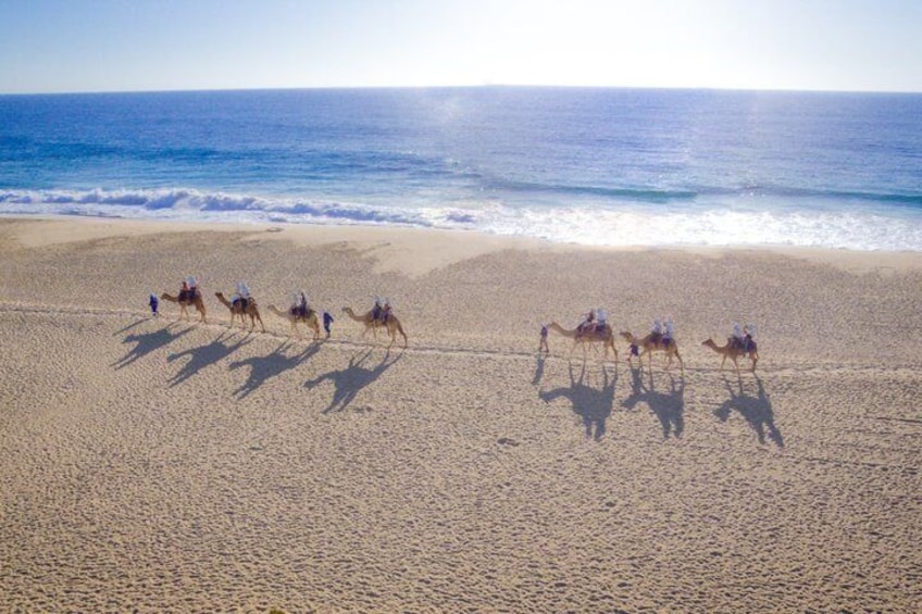 A beach with camels and riders. 5