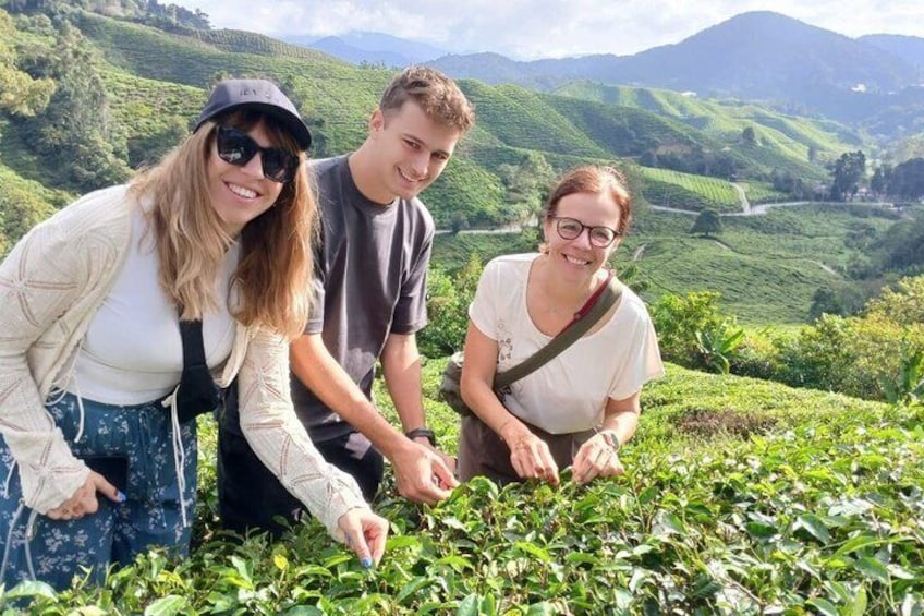 Three people examining tea plants in a hilly tea plantation. 1