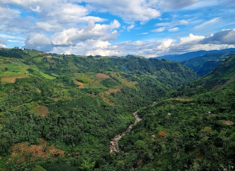 A lush green valley with terraced fields and a winding path. 3