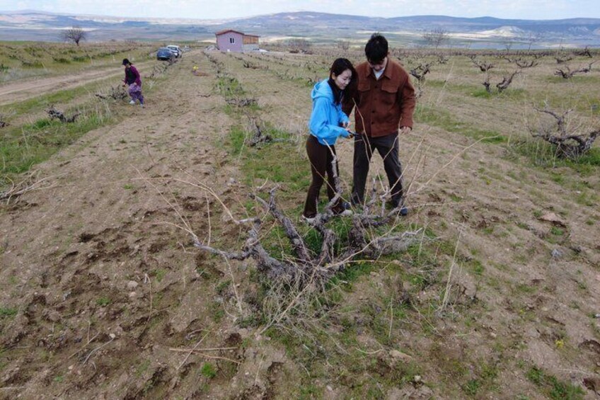 A rural landscape with a dirt path, a small building, and a group of people examining a fallen tree. 4