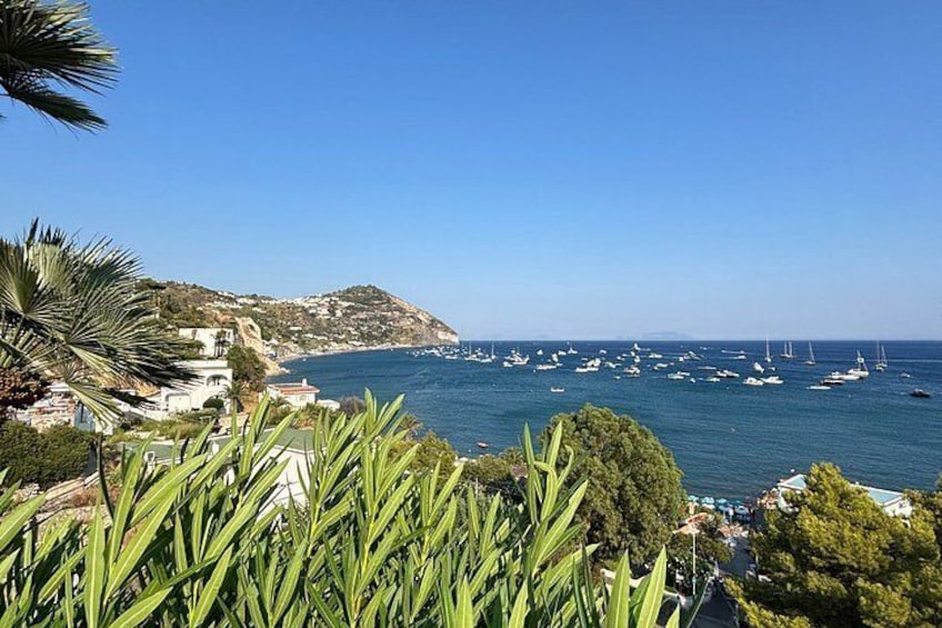 A coastal landscape with a clear sky, a hill with buildings, and numerous boats on the water. 5
