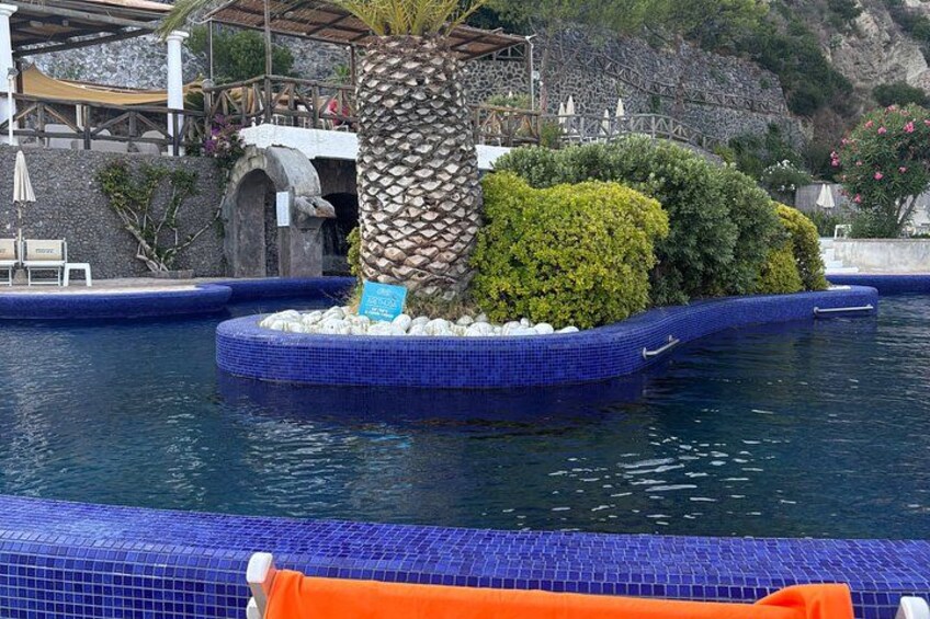 A swimming pool with blue tiles, surrounded by rocks and plants. 3