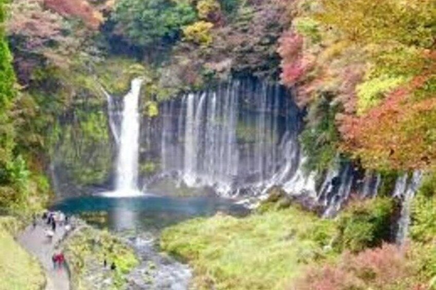 A waterfall surrounded by lush greenery and a pathway. 4