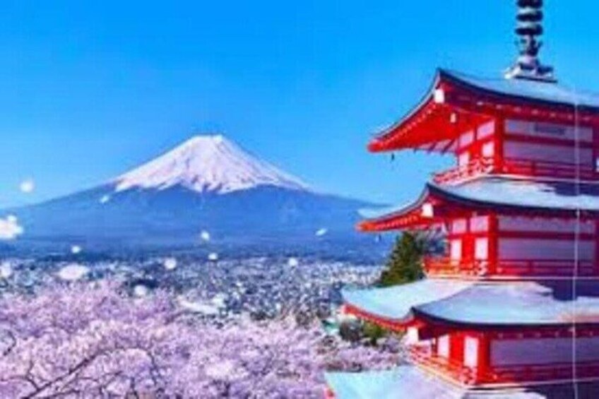 A red pagoda, Mount Fuji, and cherry blossoms. 5