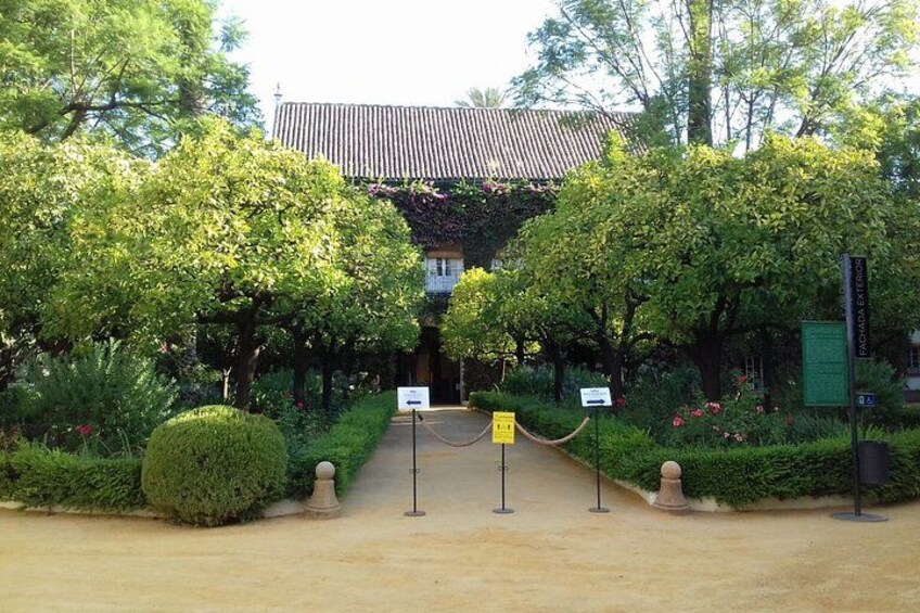Palace of Dueñas and Pilates' House 1